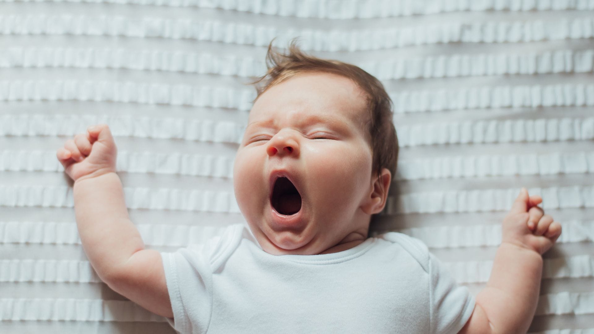 מחזורי שינה